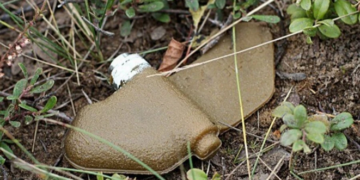 Польща виходить із конвенції про заборону протипіхотних мін і готується їх виробляти – Экономика