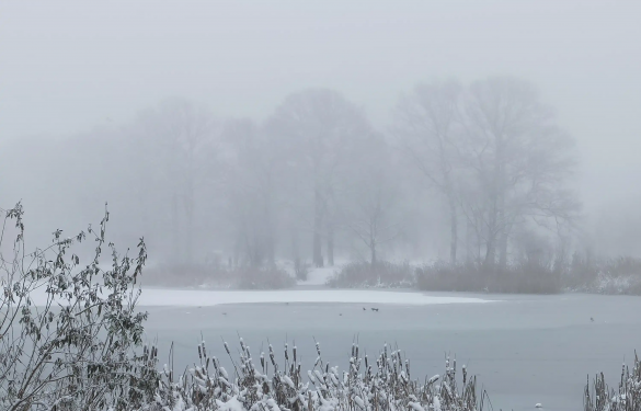 Протягом доби туман накриє Черкащину