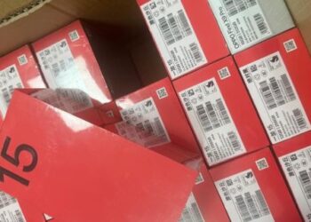 Смартфони замість “декору”: львівські митники вилучили гаджети на 700 тис. грн