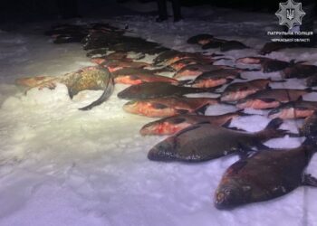 У Каневі водний патруль виявив незаконний вилов риби на майже 100 тисяч гривень