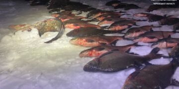 У Каневі водний патруль виявив незаконний вилов риби на майже 100 тисяч гривень