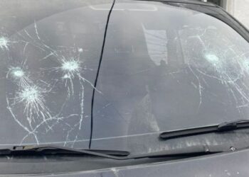 У Львові жінка стріляла по мікроавтобусу ТЦК