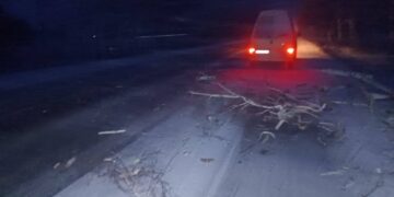 Відлига та сильний вітер у Золотоноші спричинили підтоплення і падіння дерев