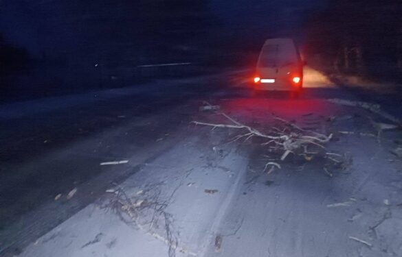 Відлига та сильний вітер у Золотоноші спричинили підтоплення і падіння дерев