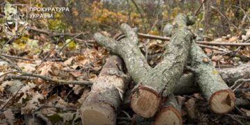 За знищення 80-річних дубів у заказнику на Житомирщині стягнули майже 2 млн грн екозбитків | Журнал Житомира