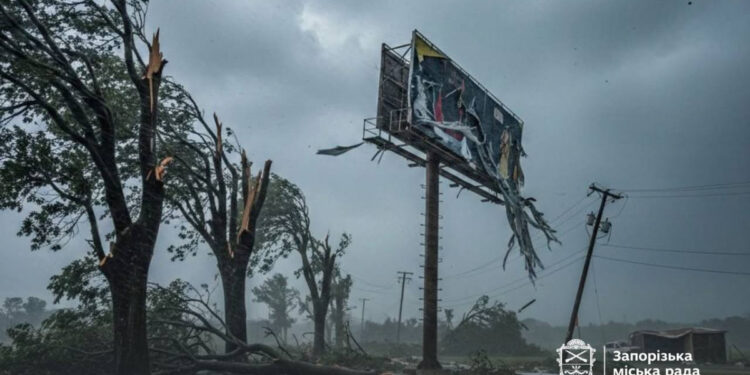 Запоріжжя потерпає від штормового вітру: падають дерева, зриває рекламу та водостоки | Новости Запорожья