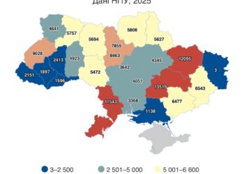 Запоріжжя серед регіонів із зростанням п’яного водіння – статистика Опендатабот | Новости Запорожья