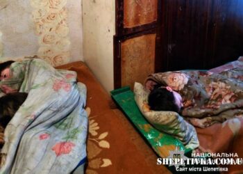 Жебракували та жили в антисанітарії: у Славуті вилучили п’ятьох дітей у матері —Хмельнитчина
