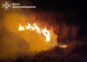 9 березня на Миколаївщині зареєстровано дев’ять пожеж » Миколаївський Оглядач
