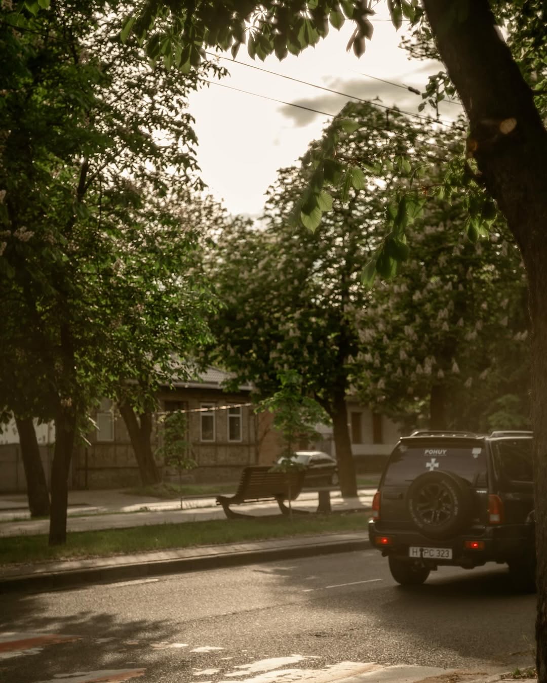 бульвар Шевченка