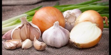 Названо 4 види добрив, якими необхідно підживити озимий часник та цибулю навесні – ЭКОНОМИКА