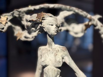 один з лотів благодійного аукціону