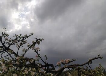 Дощові хмари та аномальне тепло: що чекати від погоди до кінця березня