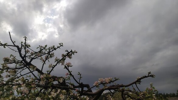 Дощові хмари та аномальне тепло: що чекати від погоди до кінця березня