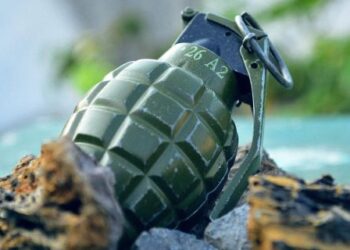 Двірничка у Львові знайшла гранату біля смітника