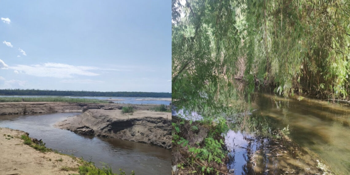 Еколог Максим Сорока розповів, що відбувається з малими річками Запорізької області – подробиці | Новости Запорожья
