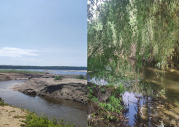 Еколог Максим Сорока розповів, що відбувається з малими річками Запорізької області – подробиці | Новости Запорожья