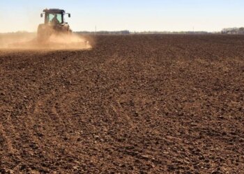 УКАБ закликав знизити акциз на дизпаливо для сільгосптехніки та спростити логістику добрив – ЭКОНОМИКА