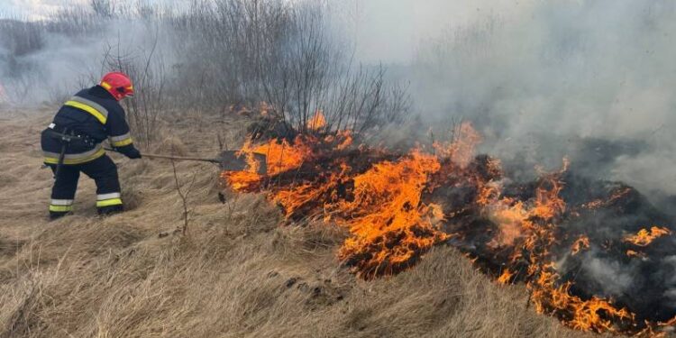 «Гаряча» субота: шепетівські рятувальники ліквідували займання сухої рослинності —Хмельнитчина