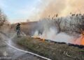На Черкащині понад 20 разів гасили пожежі в екосистемі — Новини Черкащіни