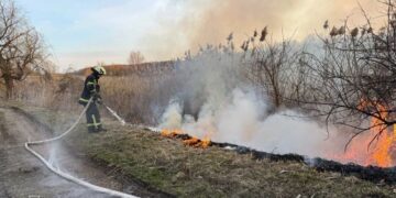 На Черкащині понад 20 разів гасили пожежі в екосистемі — Новини Черкащіни