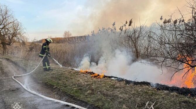 На Черкащині понад 20 разів гасили пожежі в екосистемі — Новини Черкащіни