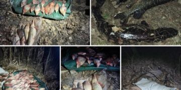 На Черкащині викрили браконьєрів: збитки перевищили 450 тисяч гривень