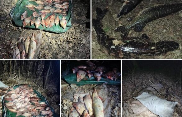 На Черкащині викрили браконьєрів: збитки перевищили 450 тисяч гривень