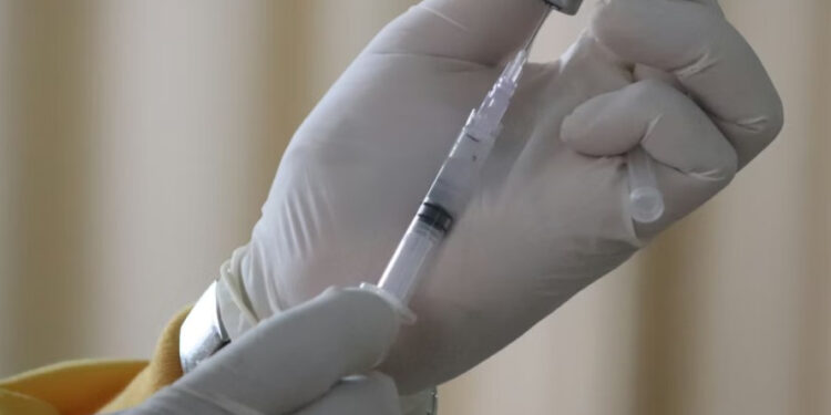 На Івано-Франківщині за 2025 рік не фіксували випадків захворювання на сказ серед людей