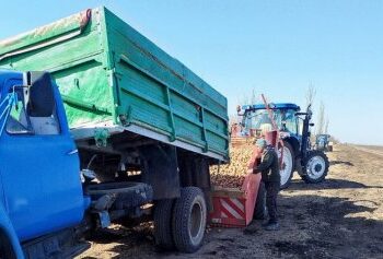 На Миколаївщині розпочали посадку ранньої картоплі під агроволокном » Миколаївський Оглядач