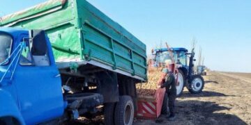 На Миколаївщині розпочали посадку ранньої картоплі під агроволокном » Миколаївський Оглядач