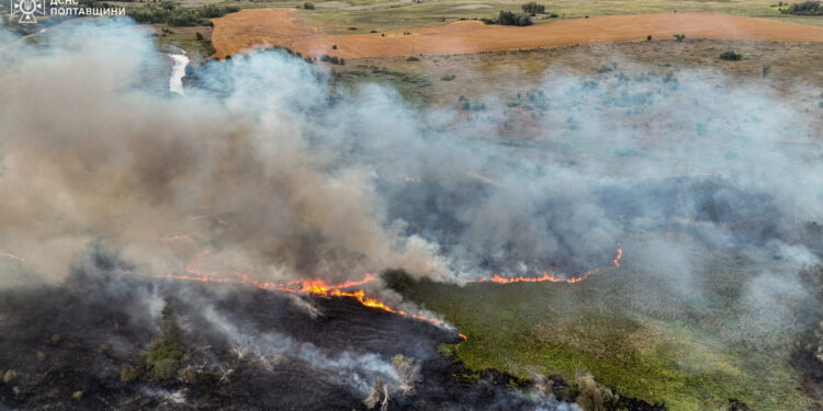 На Полтавщині розпочався період пожеж у лісах – ПОЛТАВА СЬОГОДНІ