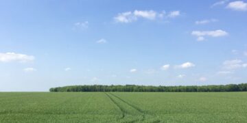 На Уманщині через суд повернули громаді незаконно приватизовану землю