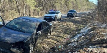 Нетішинець намагався уникнути наїзду на собаку та з’їхав у кювет —Хмельнитчина