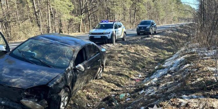 Нетішинець намагався уникнути наїзду на собаку та з’їхав у кювет —Хмельнитчина