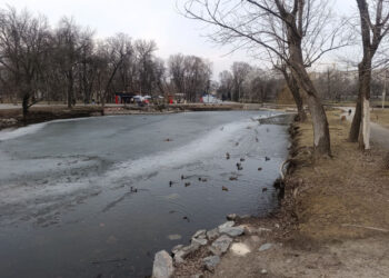 Невеликі дощі та зниження температури – прогноз погоди в Запоріжжі 16, 17, 18 березня | Новости Запорожья