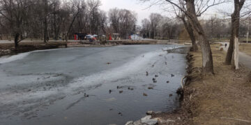 Невеликі дощі та зниження температури – прогноз погоди в Запоріжжі 16, 17, 18 березня | Новости Запорожья