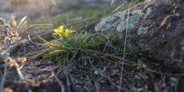 Погода в Запоріжжі 14, 15 березня – прогноз від синоптикині Тетяни Сорокіної | Новости Запорожья