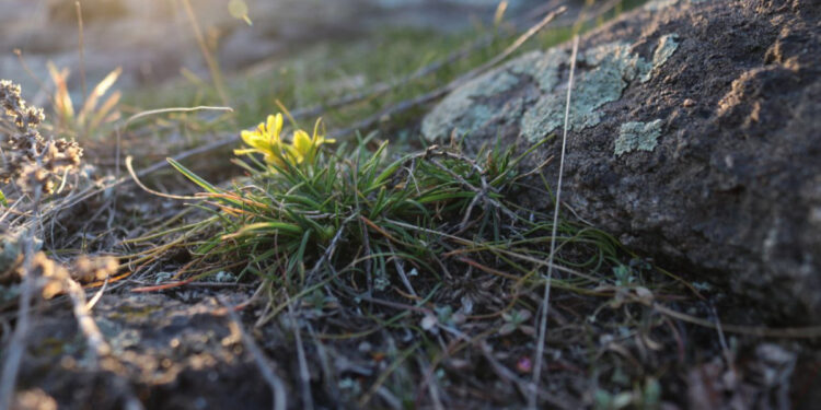 Погода в Запоріжжі 14, 15 березня – прогноз від синоптикині Тетяни Сорокіної | Новости Запорожья