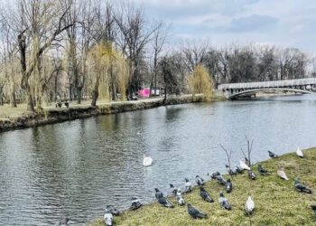 Погода в Запоріжжі на 23–25 березня: прогноз з понеділка по середу | Новости Запорожья