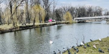 Погода в Запоріжжі на 23–25 березня: прогноз з понеділка по середу | Новости Запорожья