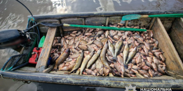 Риби майже на 2 млн грн: на Полтавщині викрили промисел