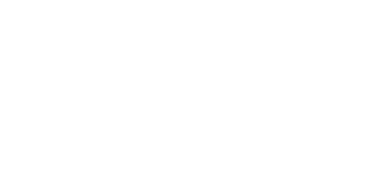 Сабо назвал победителя УПЛ сезона-2025/26