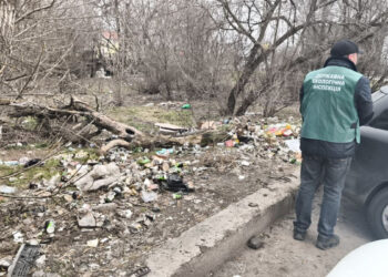 У Космічному районі Запоріжжя екологи виявили стихійне звалище – сміття накопичилось поруч із парковкою | Новости Запорожья