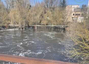 У річці Тясмин у Кам’янці після прориву шлюзу з’явився неприємний запах