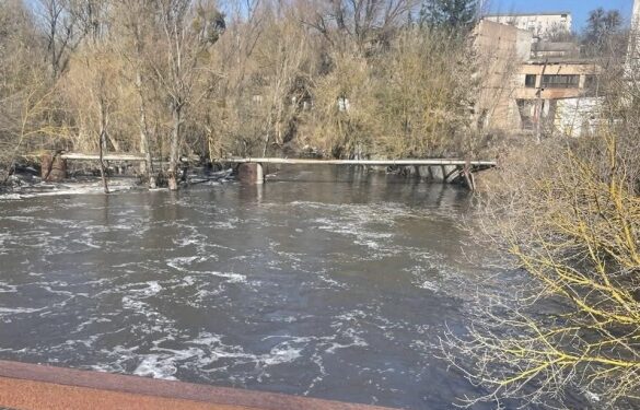 У річці Тясмин у Кам’янці після прориву шлюзу з’явився неприємний запах