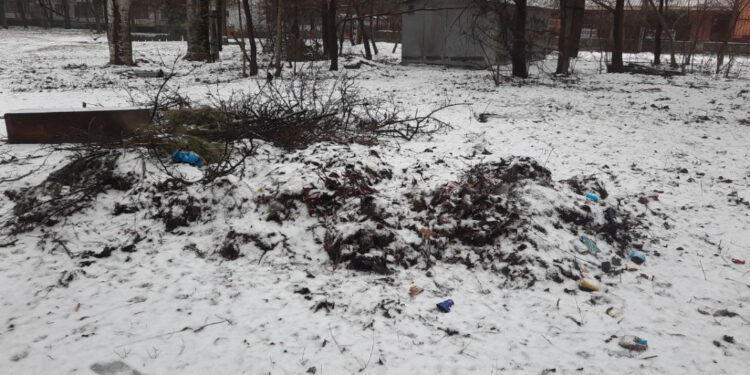 У Вознесенівському районі Запоріжжя екоінспекція виявила стихійне звалище біля будинку | Новости Запорожья