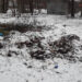 У Вознесенівському районі Запоріжжя екоінспекція виявила стихійне звалище біля будинку | Новости Запорожья