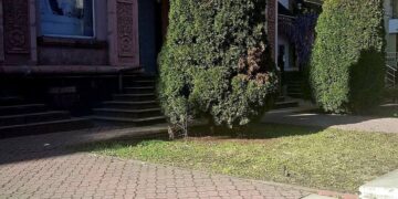 У Запоріжжі демонтували незаконну рекламу російською на проспекті Соборному | Новости Запорожья