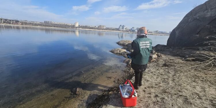 У Запоріжжі поверхня води в Дніпрі вкрилася райдужними смугами — екологи розпочали перевірку | Новости Запорожья